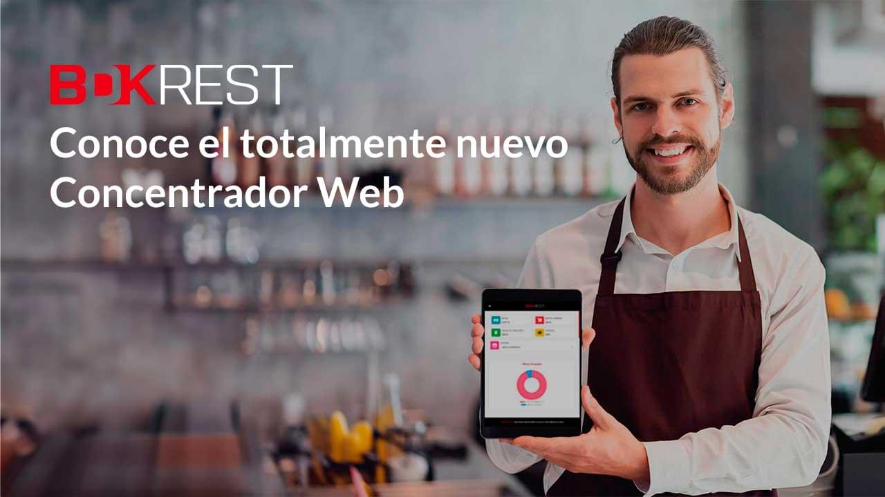 Concentrador Web de BDKREST